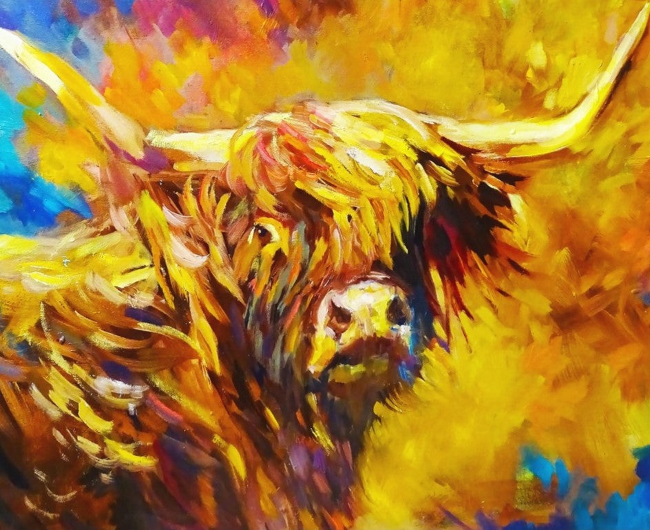 highland cow by sue gardner