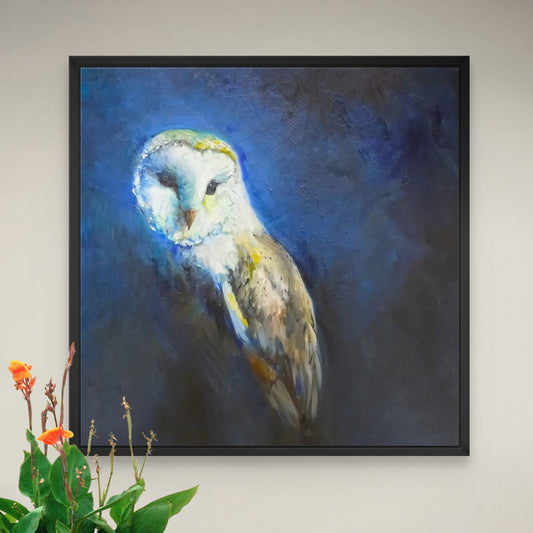 Barn Owl Framed Canvas