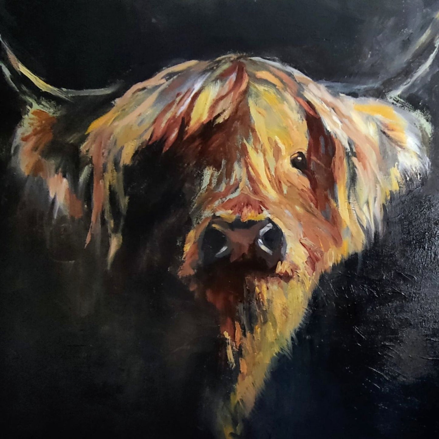 Moray - Original Highland Cow Oil Painting  60 x 60 cm