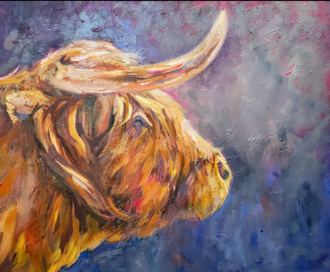 Buckie II - Original Highland Bull Oil Painting - 50 x 40 cm / 16 x 20 "