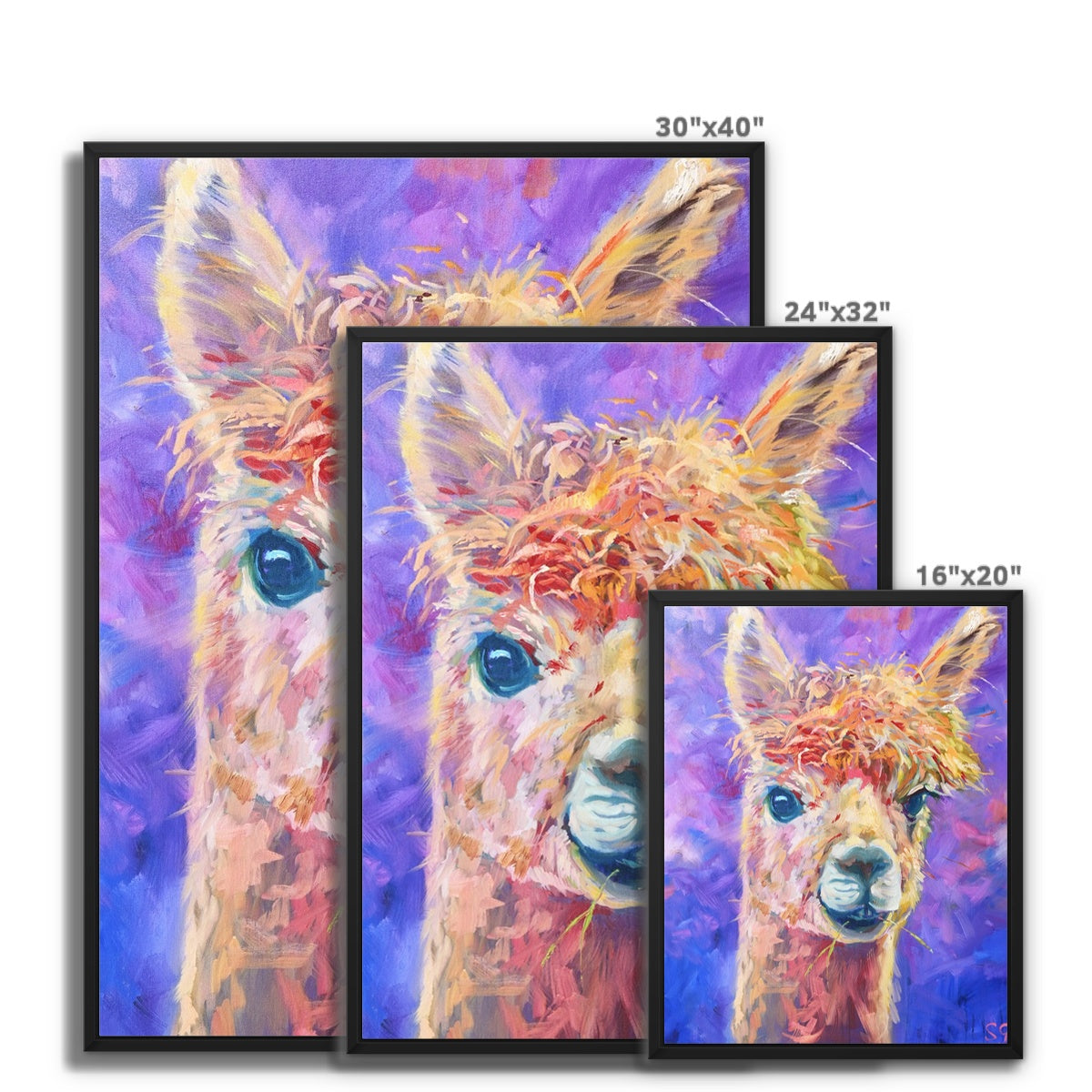 Chiquitita Framed Canvas