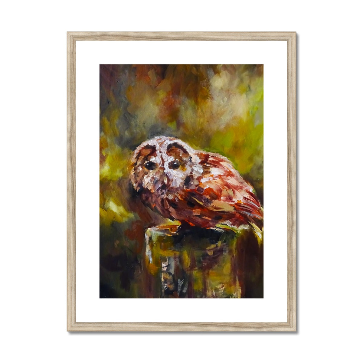 Boobook Owl Framed & Mounted Print