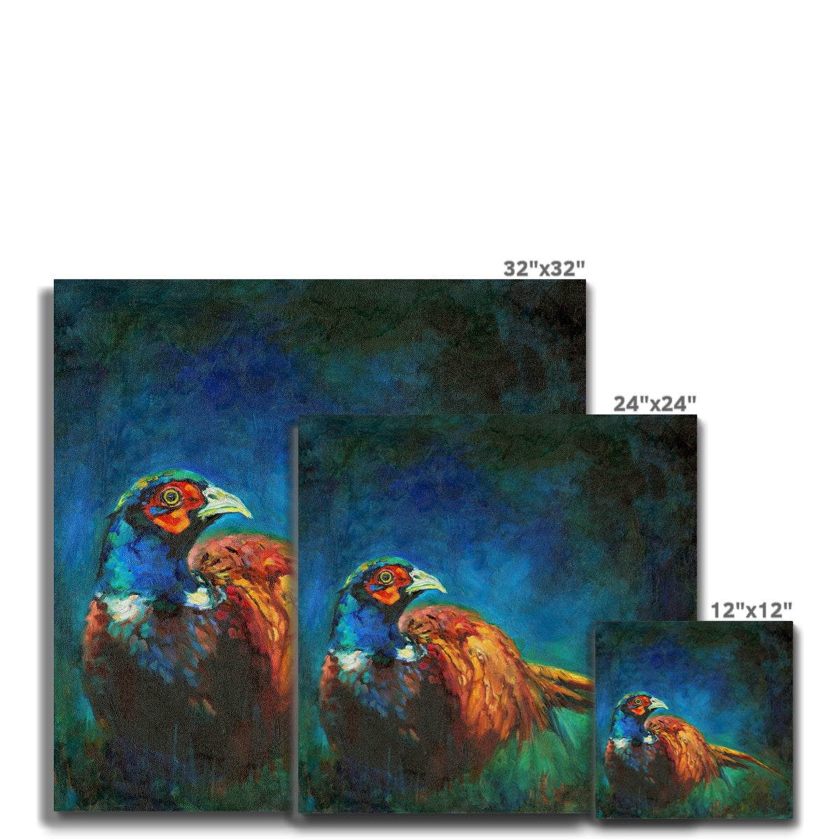Glowing  - Pheasant Canvas