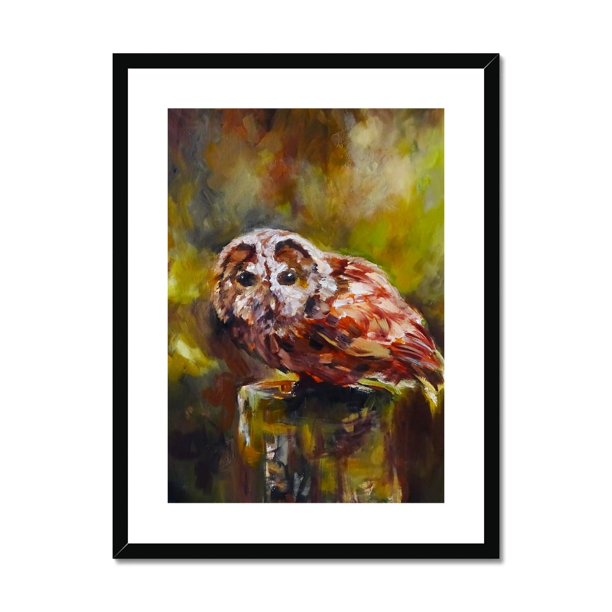 Boobook Owl Framed & Mounted Print