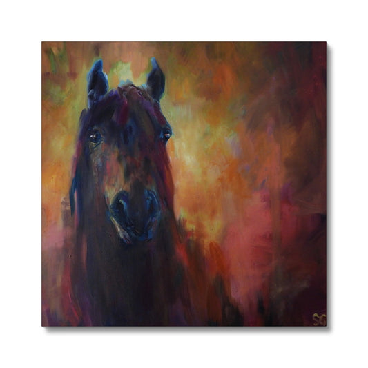Light and Light - Horse Canvas