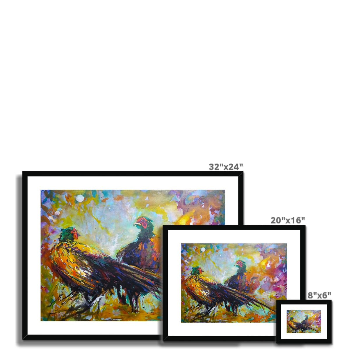 Fiesty Pheasants Framed & Mounted Print