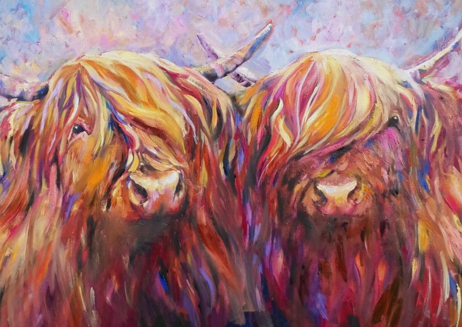 picture of two highland cows