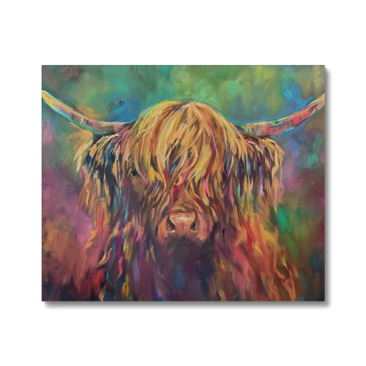 Highland Cow Picture