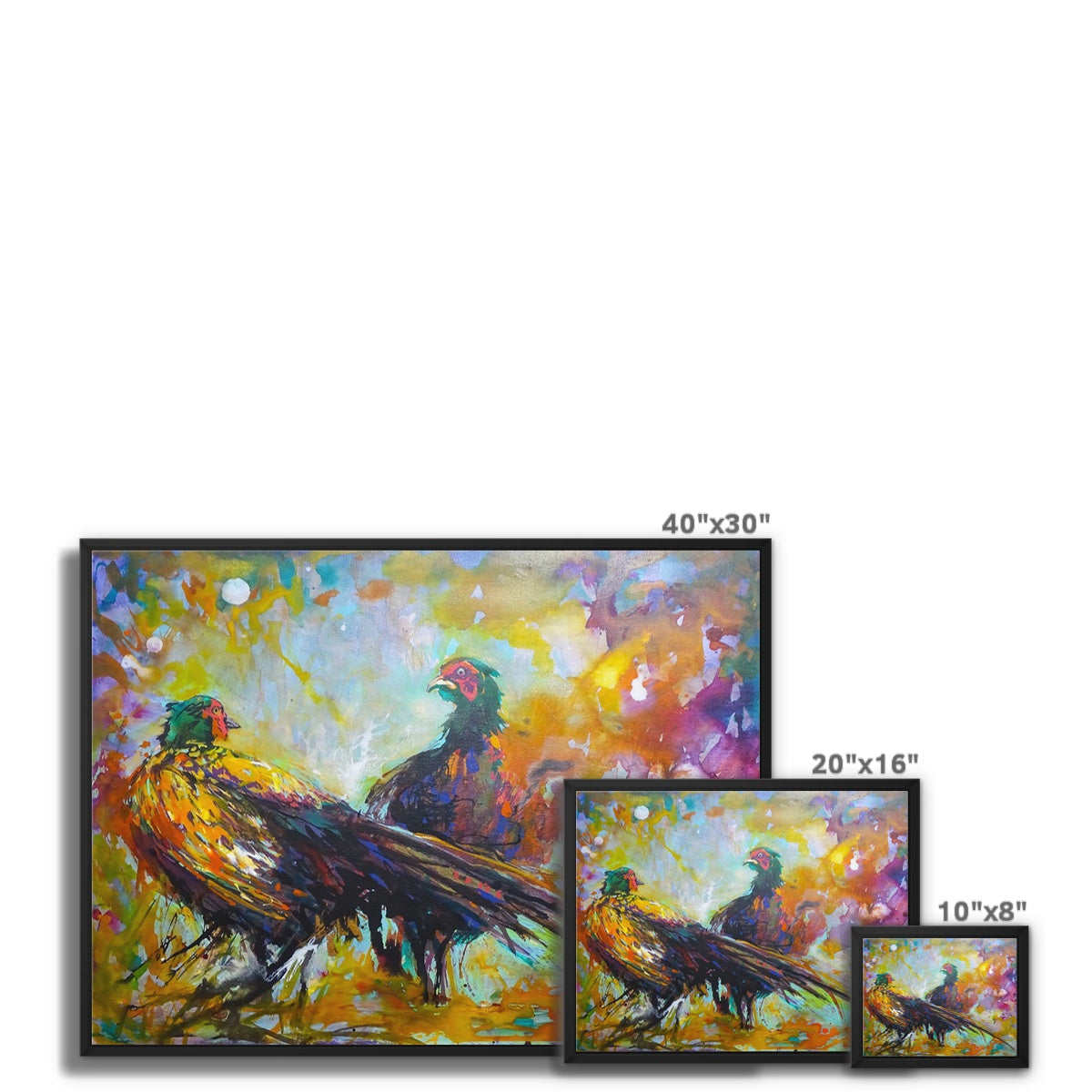 Fiesty Pheasants Framed Canvas