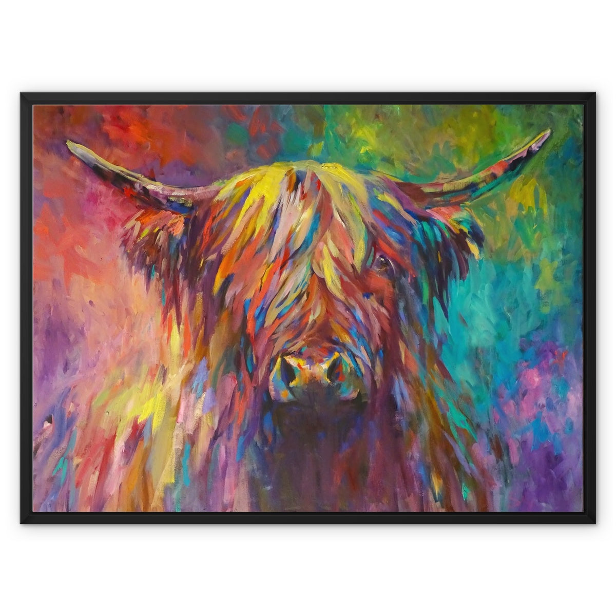 multi coloured highland cow picture