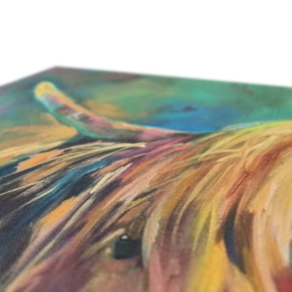 detail of Highland Cow Picture