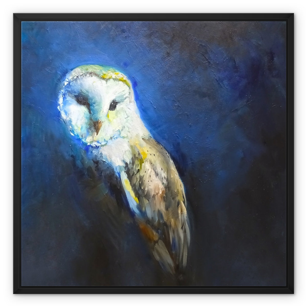 barn owl canvas print picture