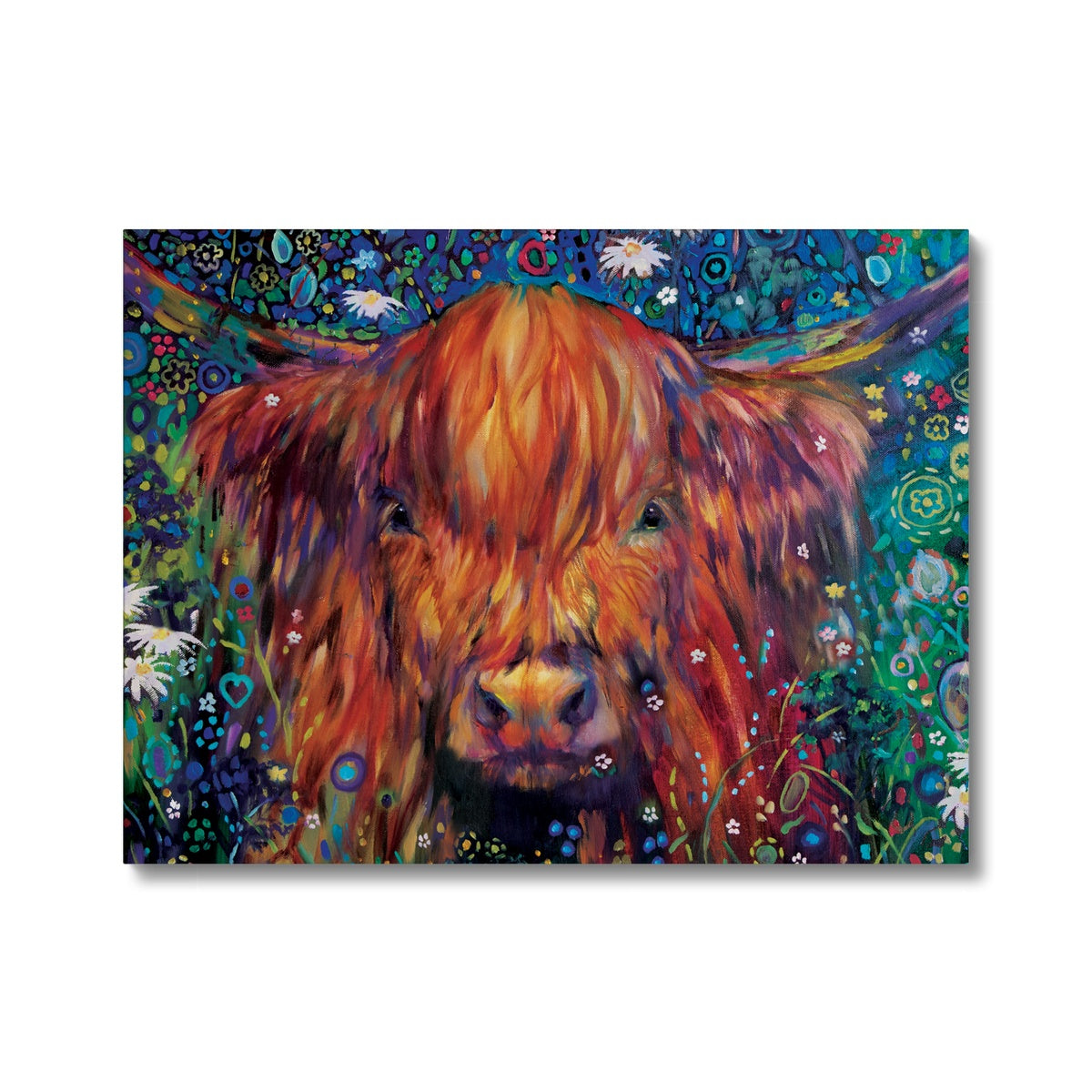 Highland Cow art with daisies by sue gardner