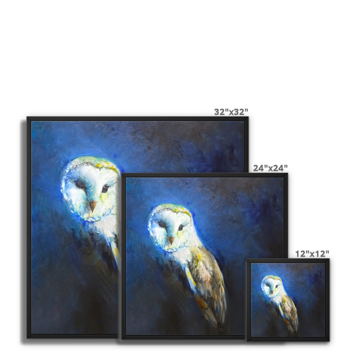 Barn Owl Framed Canvas