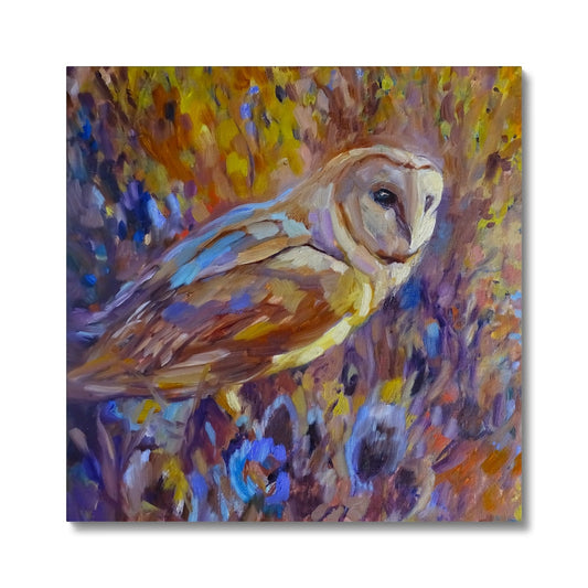 barn owl canvas print