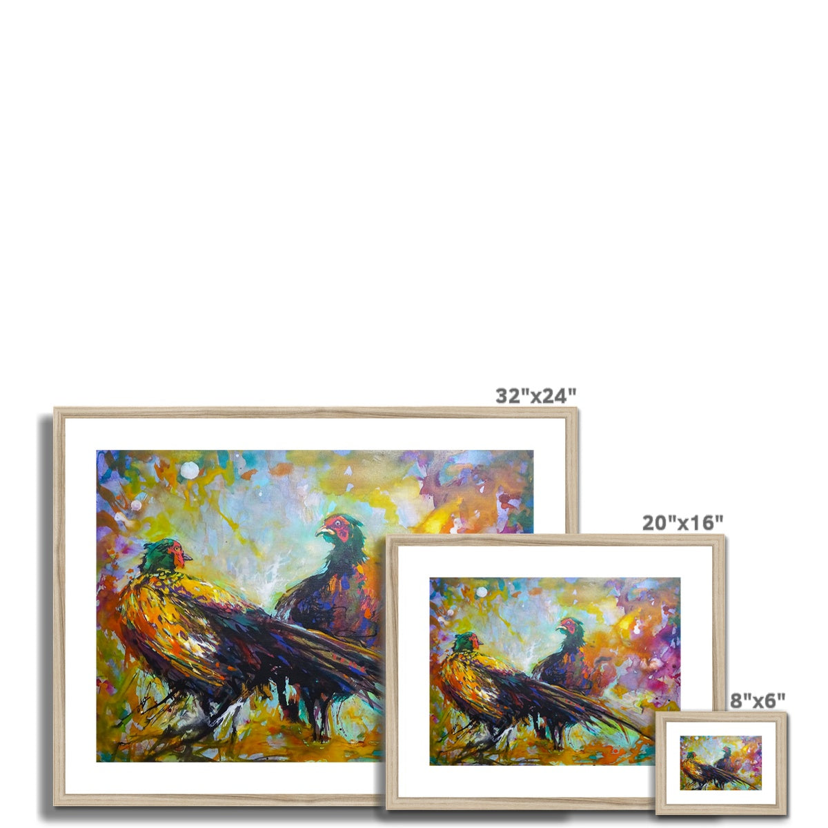 Fiesty Pheasants Framed & Mounted Print