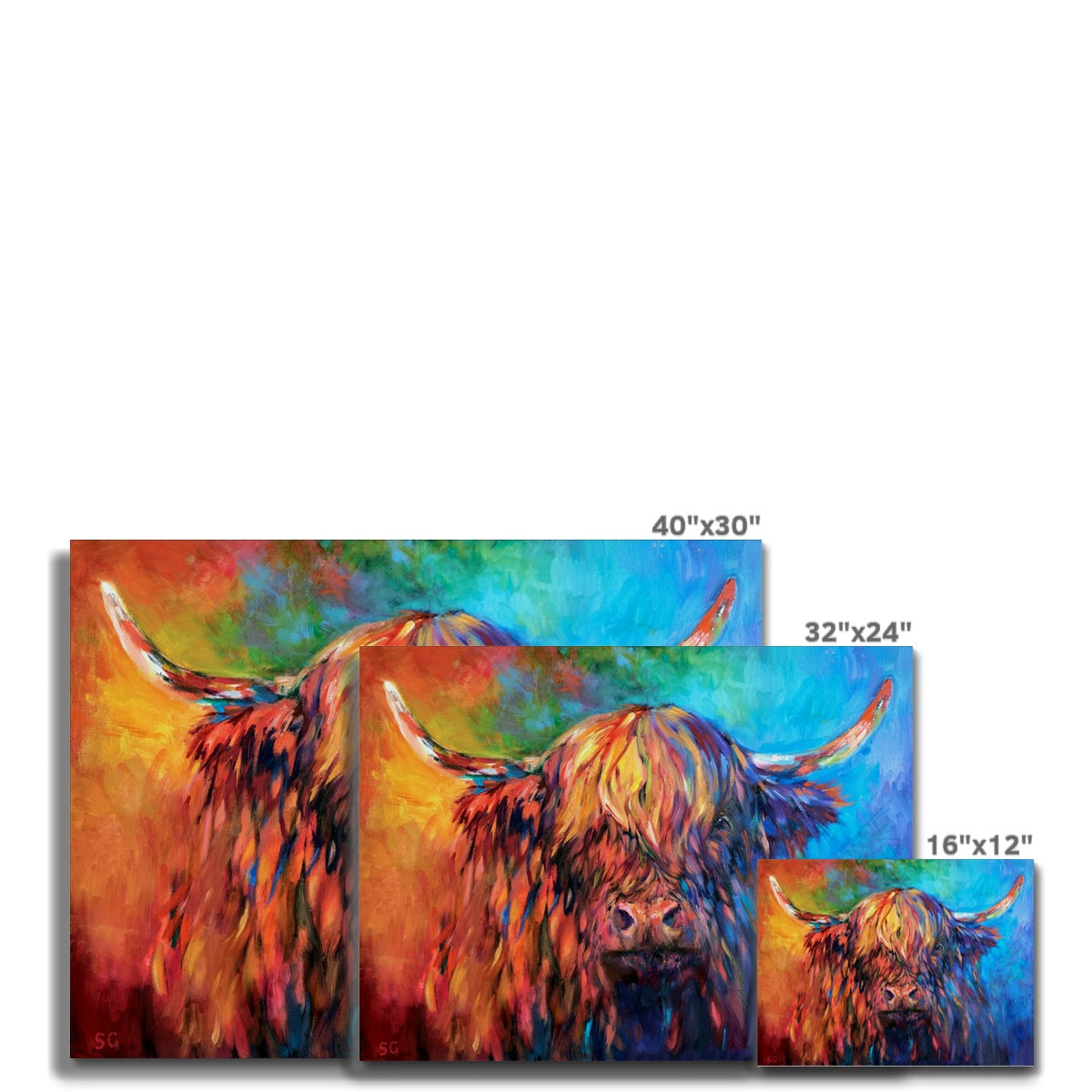 cow canvas prints by sue gardner