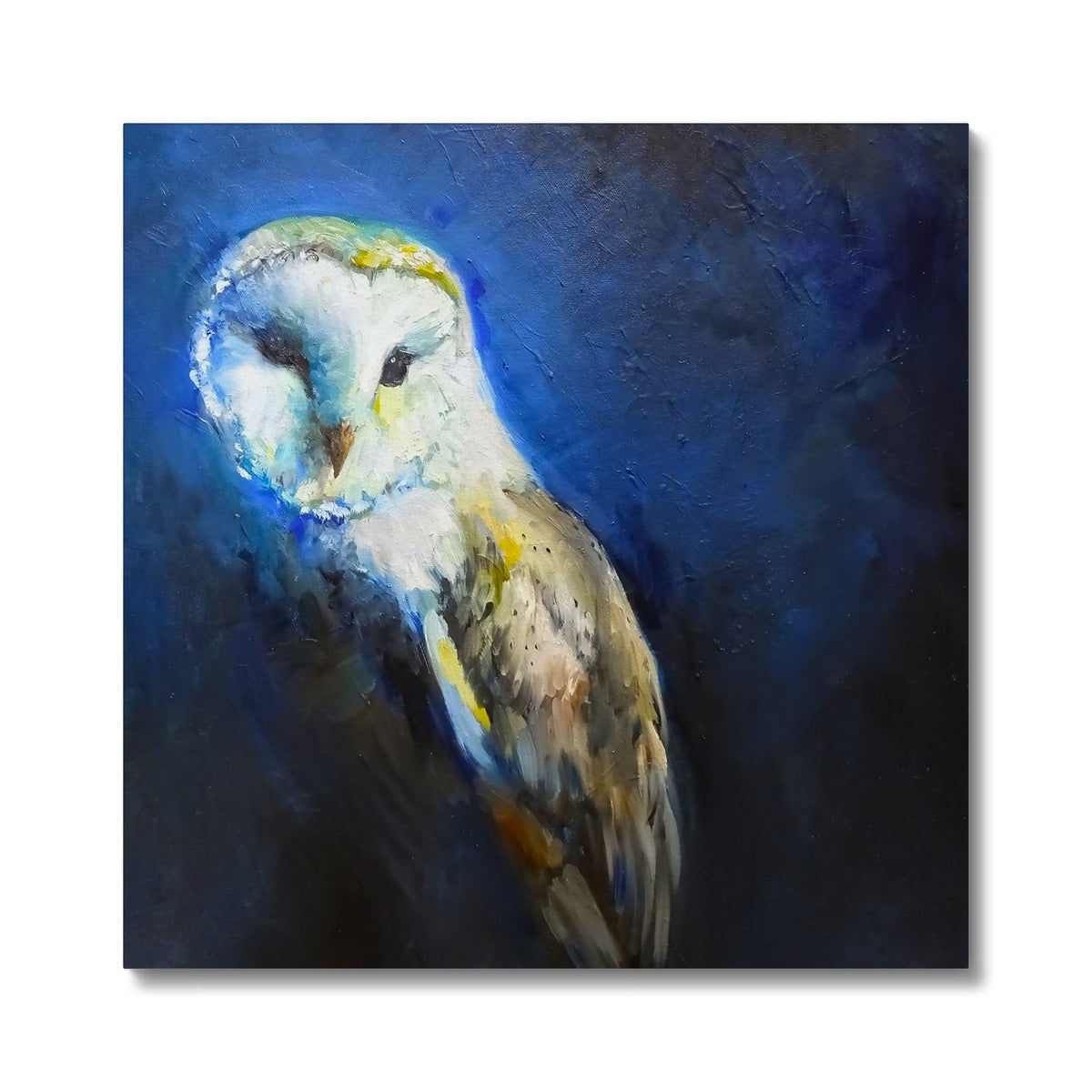 Barn Owl Canvas