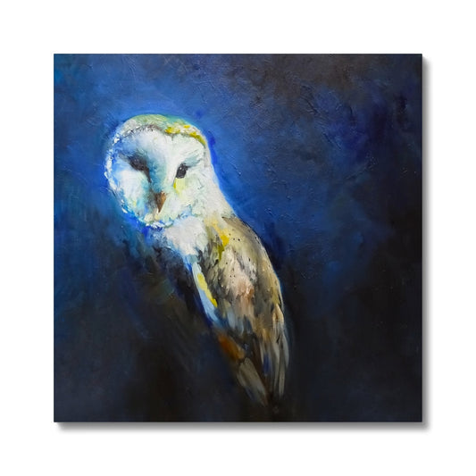 barn owl canvas