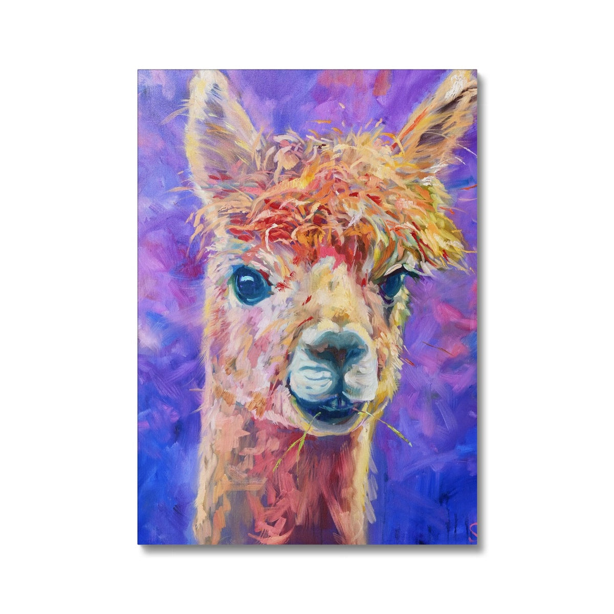 alpaca art purple