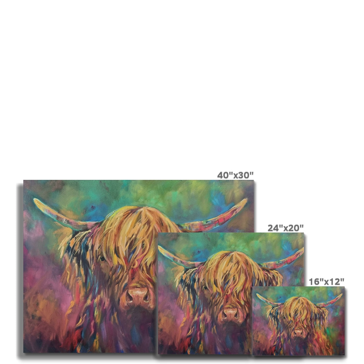 highland cow paintings multi coloured