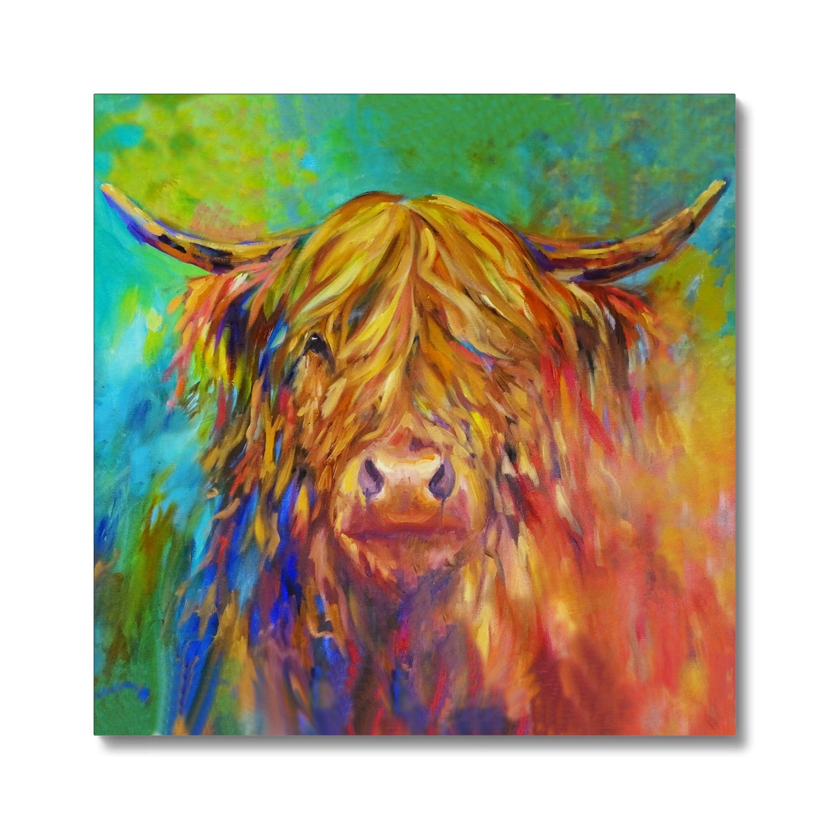 Isla - Highland Cow Canvas