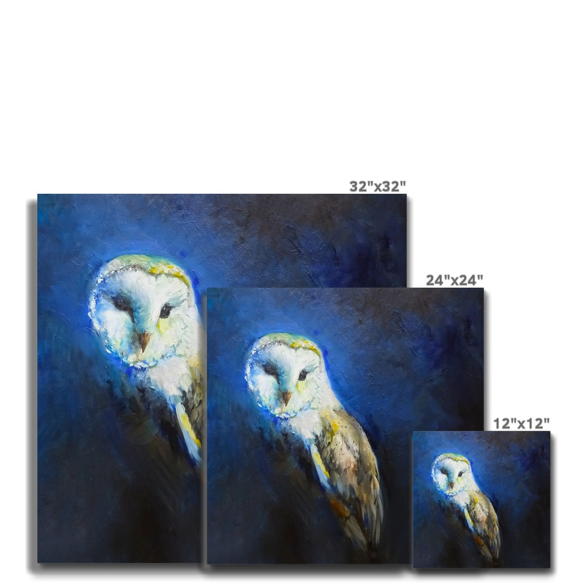 Barn Owl Canvas