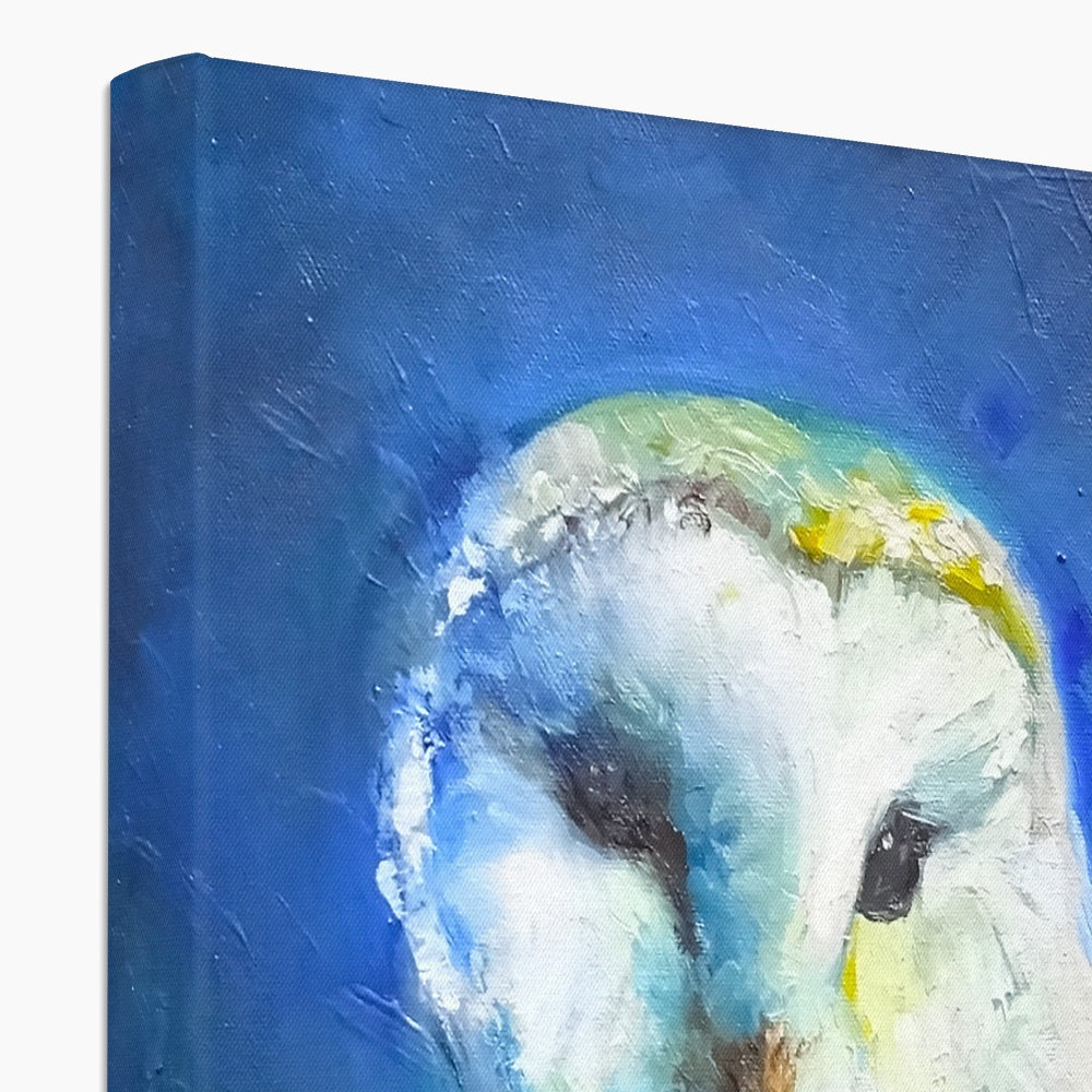 Barn Owl Canvas