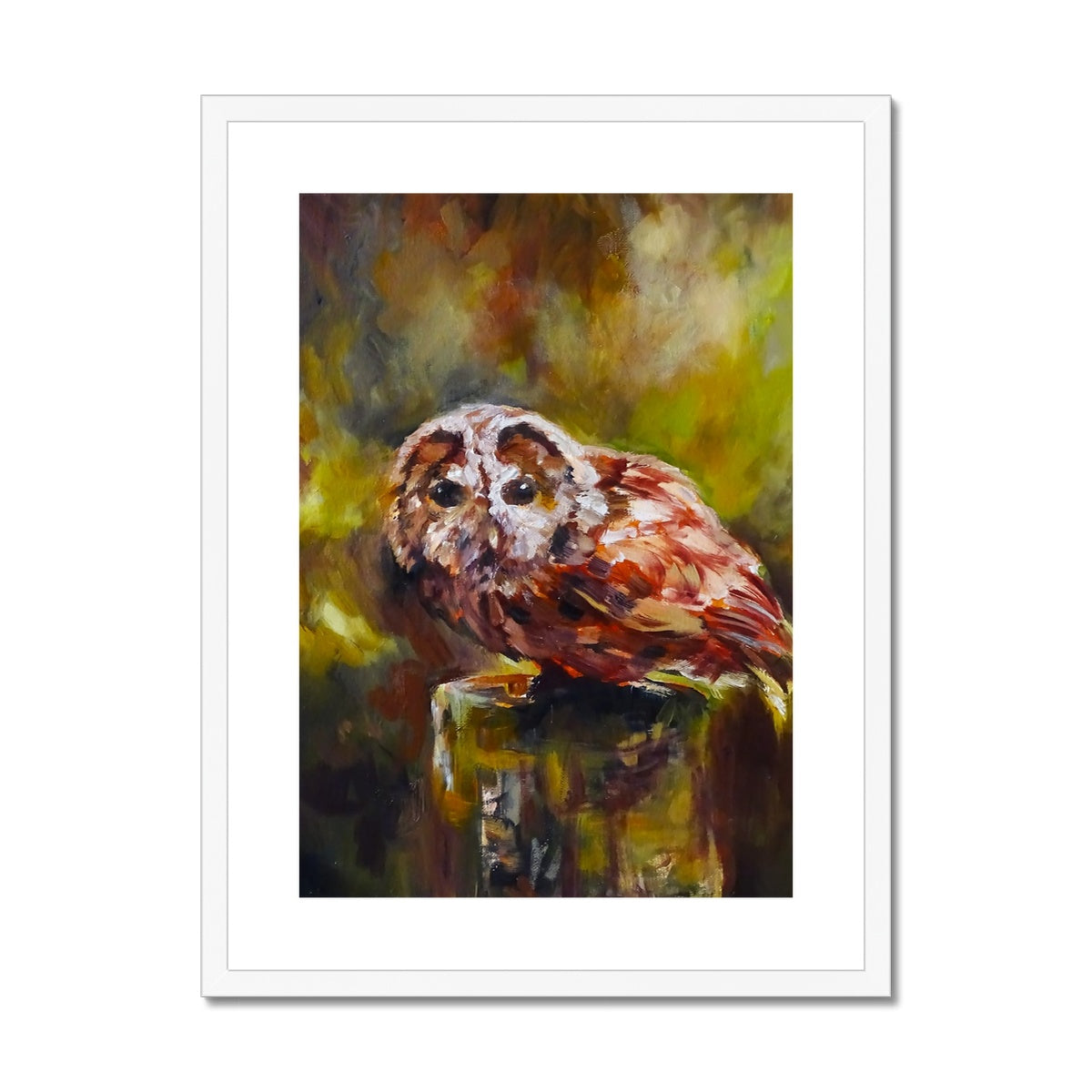 Boobook Owl Framed & Mounted Print