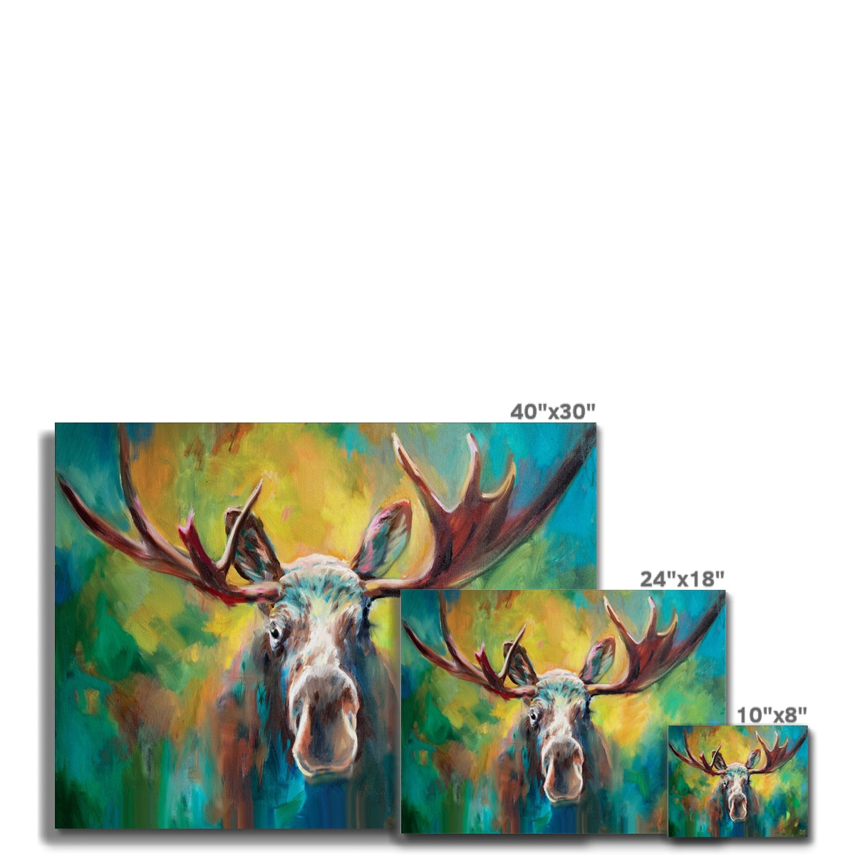 Majestic Moose Canvas