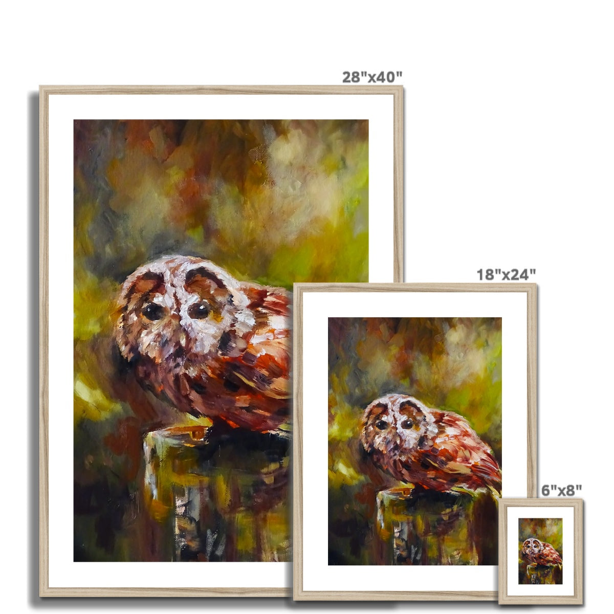 Boobook Owl Framed & Mounted Print