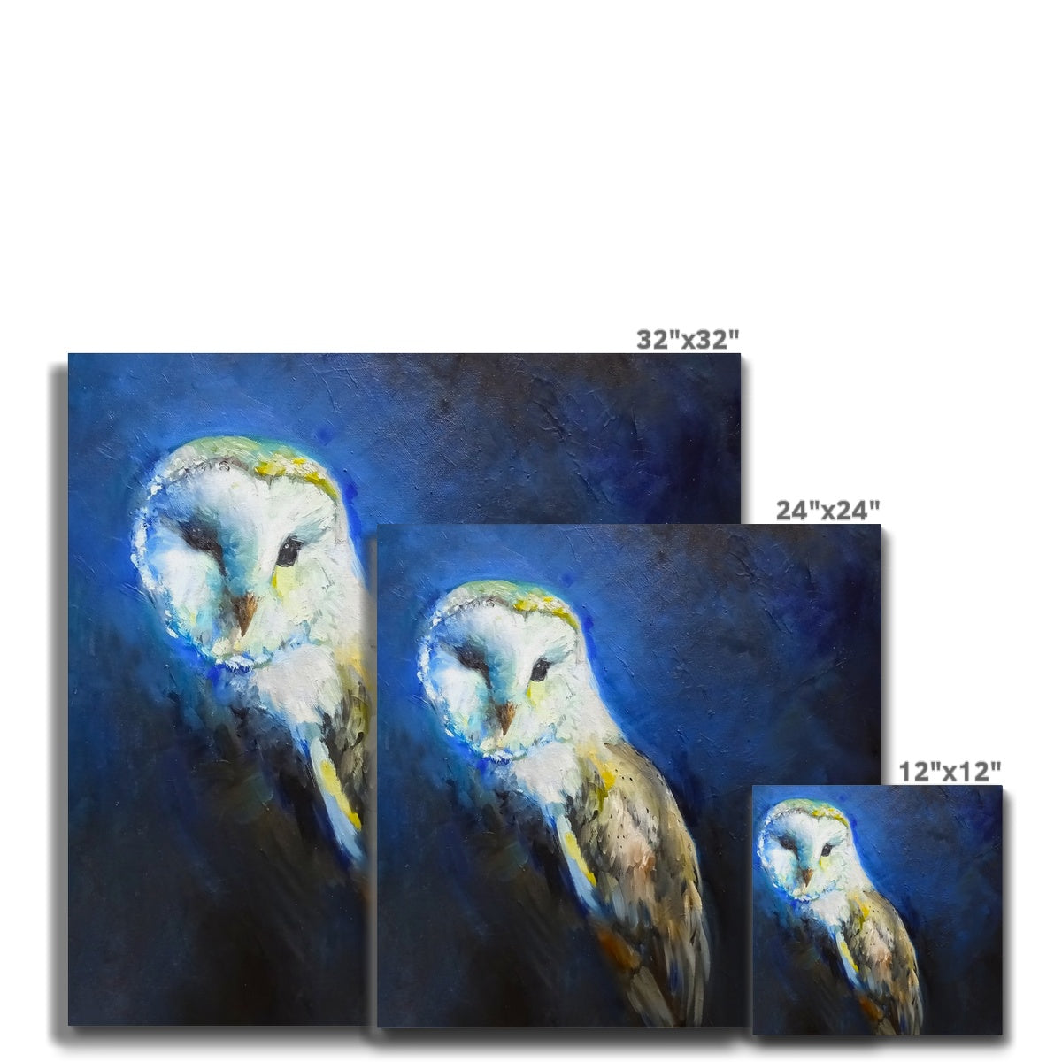 Barn Owl Canvas