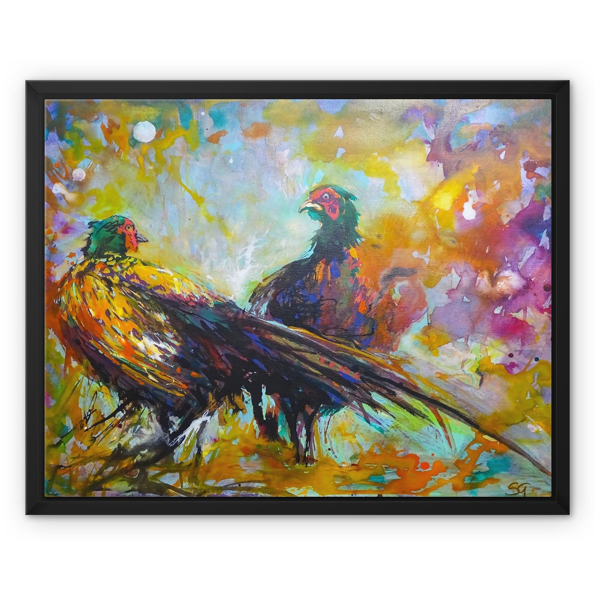 Fiesty Pheasants Framed Canvas