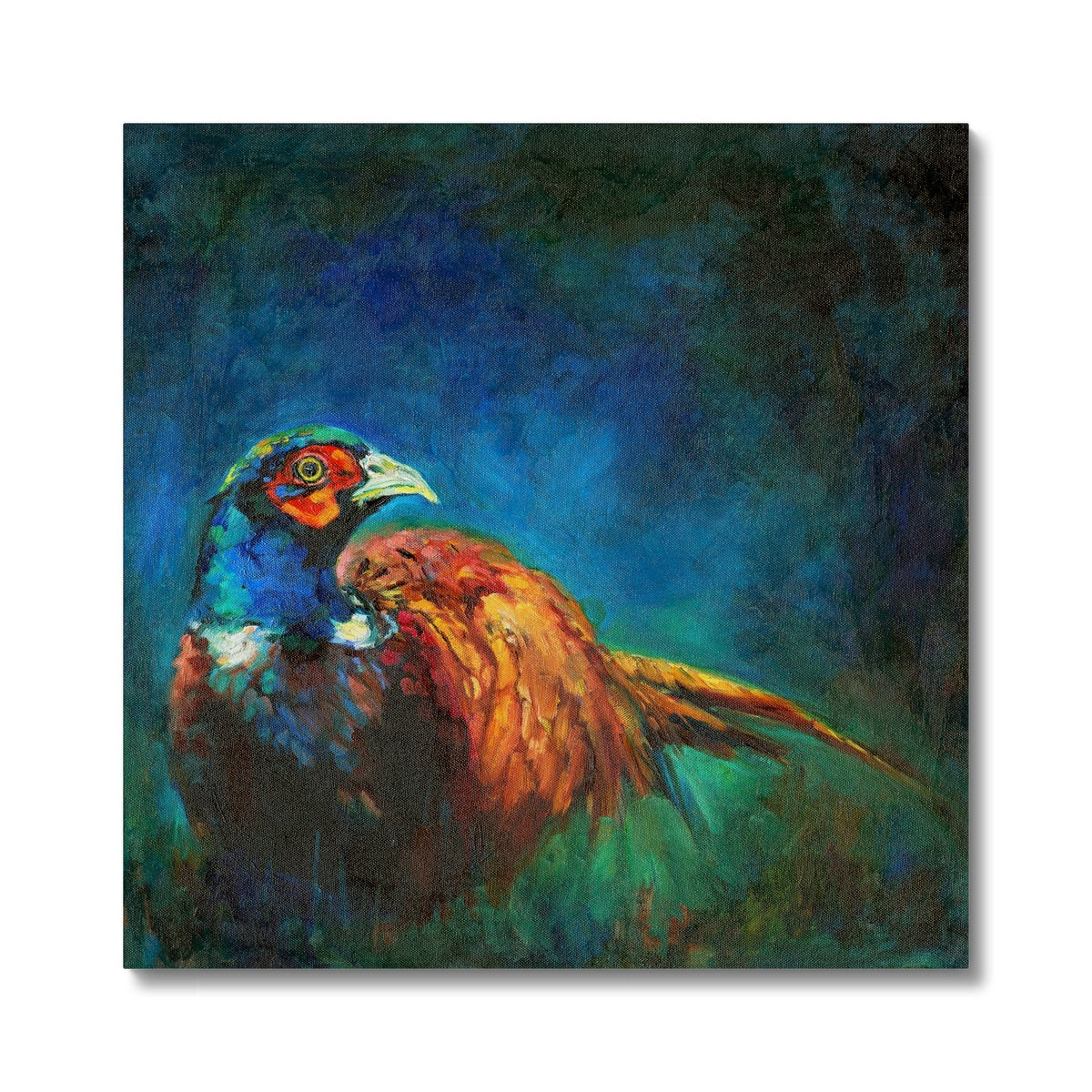 pheasant canvas print