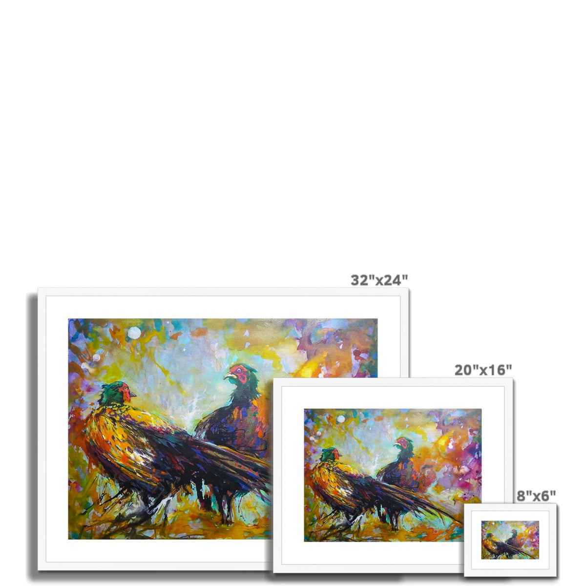 Fiesty Pheasants Framed & Mounted Print