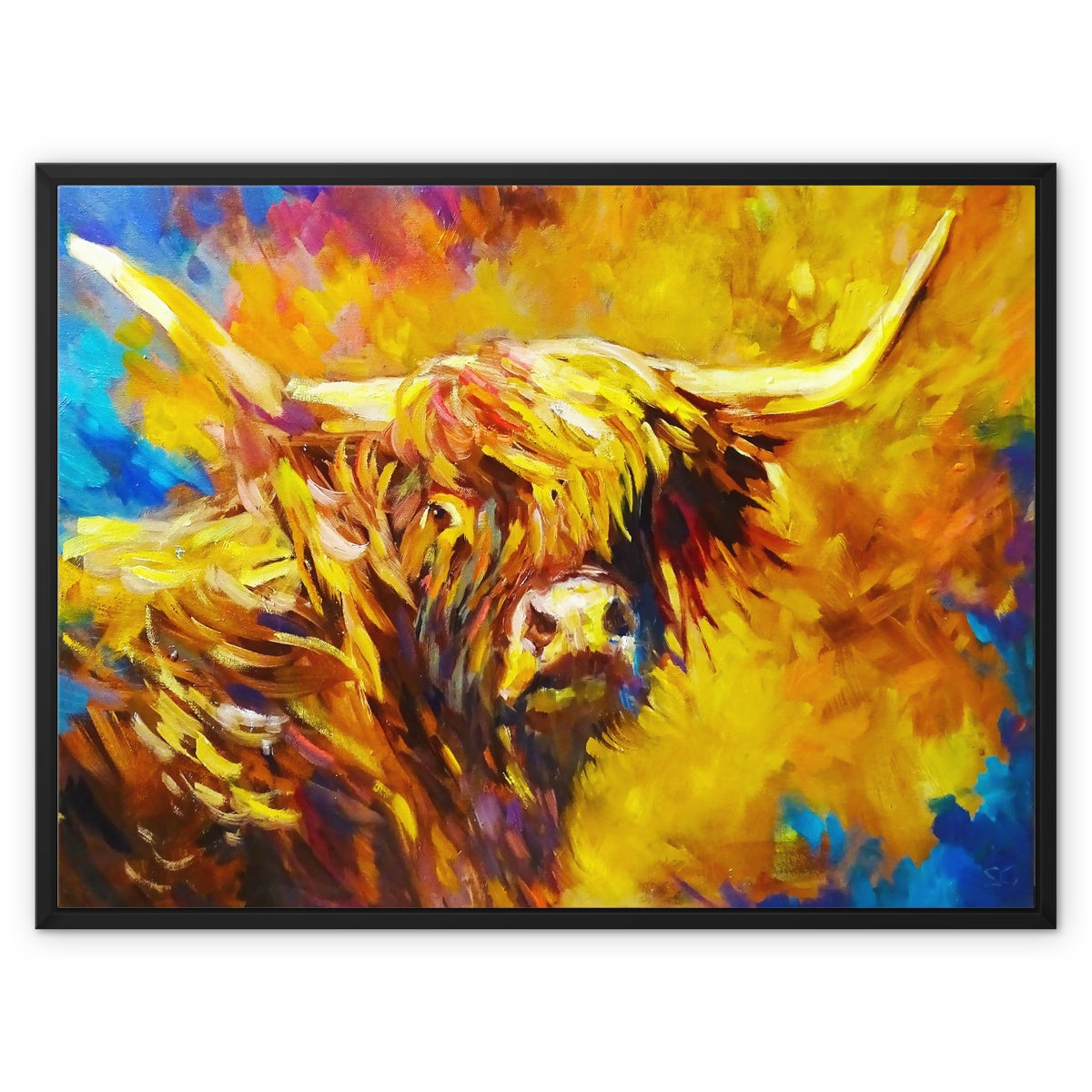 highland cow picture with a yellow and blue background